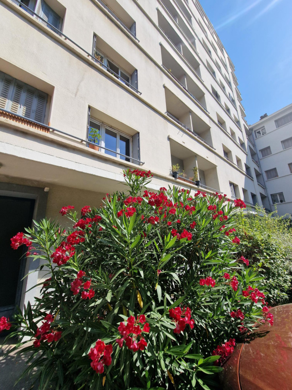 Offres de location Appartement Lyon 69003